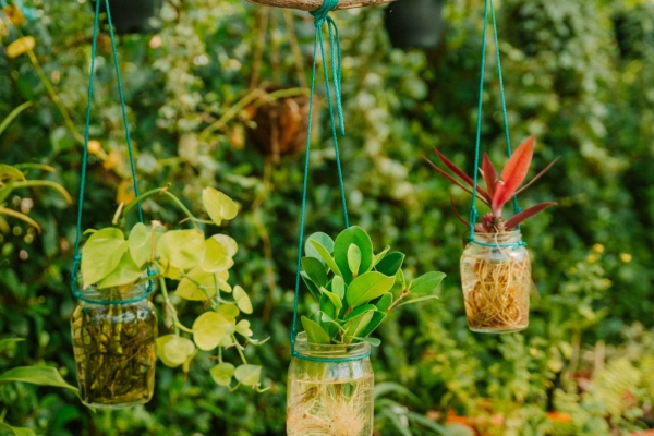 Garden Bar